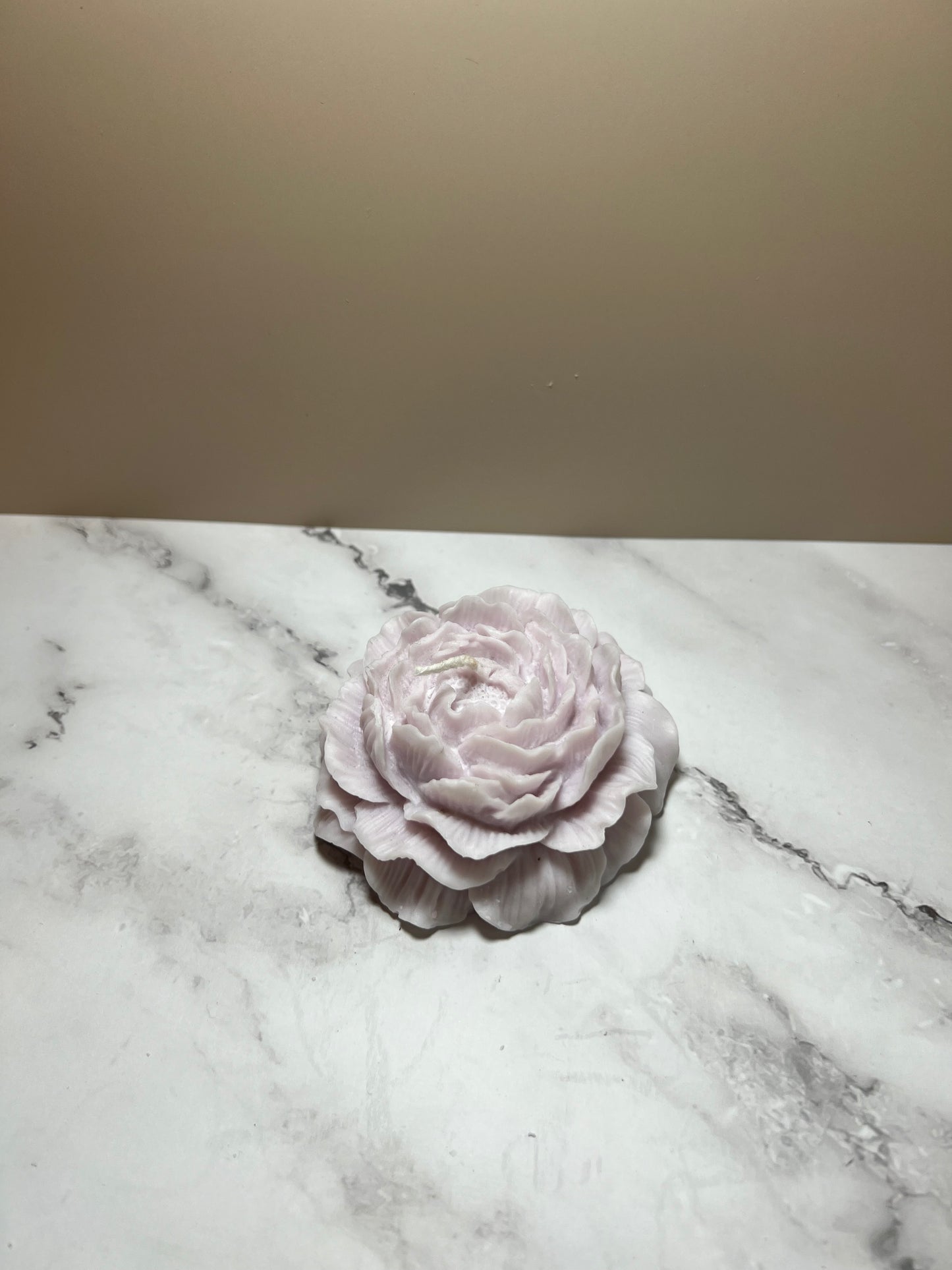 Flower 🌸